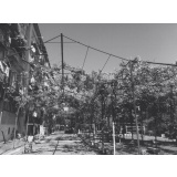 Апсны - 4.jpg Апсны - 4.jpg